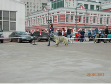 ����������� 308.jpg