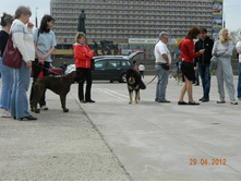 ����������� 309.jpg