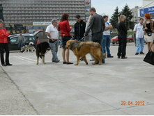 ����������� 310.jpg