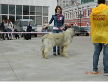 ����������� 312.jpg