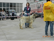 ����������� 313.jpg