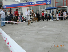 ����������� 315.jpg