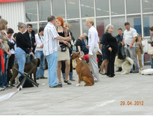 ����������� 317.jpg