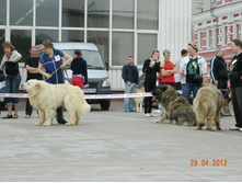 ����������� 318.jpg