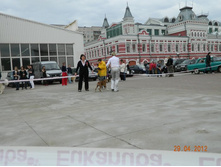 ����������� 320.jpg