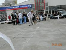 ����������� 322.jpg