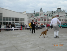 ����������� 323.jpg