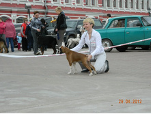 ����������� 325.jpg