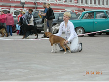 ����������� 326.jpg