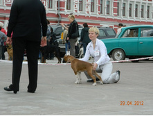 ����������� 328.jpg