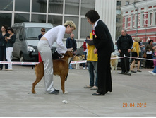 ����������� 329.jpg