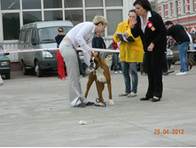 ����������� 330.jpg