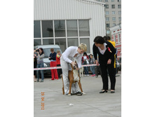 ����������� 331.jpg