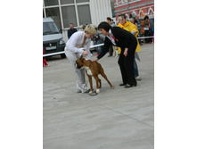 ����������� 332.jpg