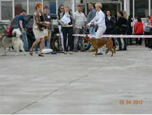 ����������� 334.jpg