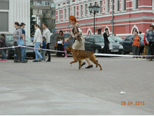 ����������� 335.jpg