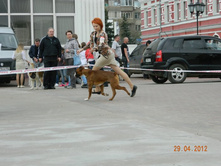 ����������� 336.jpg