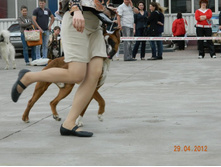 ����������� 337.jpg