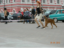 ����������� 338.jpg