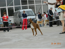 ����������� 340.jpg