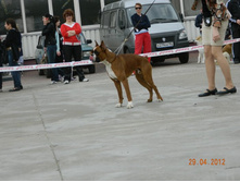 ����������� 341.jpg