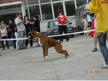 ����������� 342.jpg