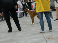 ����������� 343.jpg