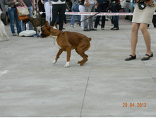 ����������� 344.jpg