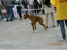 ����������� 345.jpg