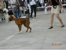 ����������� 347.jpg