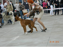 ����������� 348.jpg