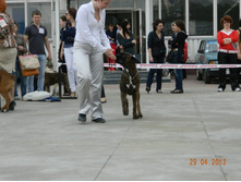 ����������� 349.jpg