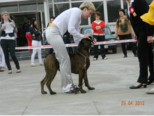 ����������� 350.jpg