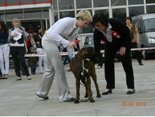 ����������� 351.jpg