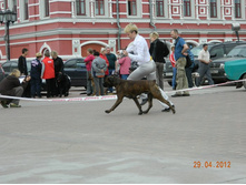 ����������� 352.jpg