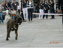 ����������� 353.jpg