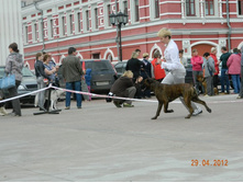 ����������� 354.jpg