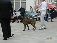 ����������� 357.jpg