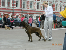 ����������� 359.jpg