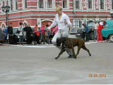 ����������� 361.jpg