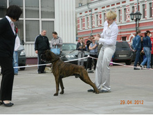 ����������� 362.jpg