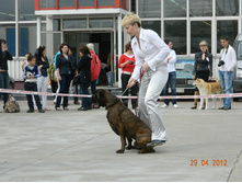 ����������� 363.jpg