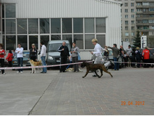 ����������� 364.jpg