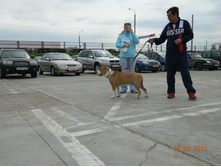 ����������� 367.jpg