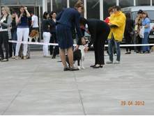 ����������� 368.jpg