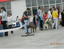 ����������� 369.jpg