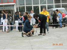 ����������� 370.jpg