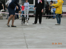 ����������� 371.jpg