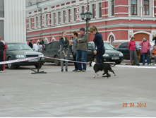 ����������� 372.jpg