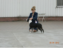 ����������� 374.jpg